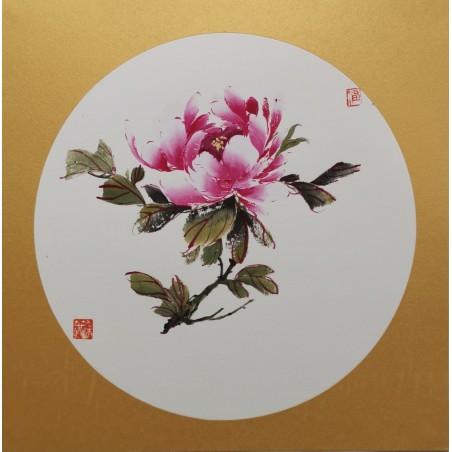 Pivoine rose 1