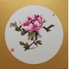 Pink peony 1