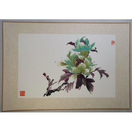 Pivoine verte 1