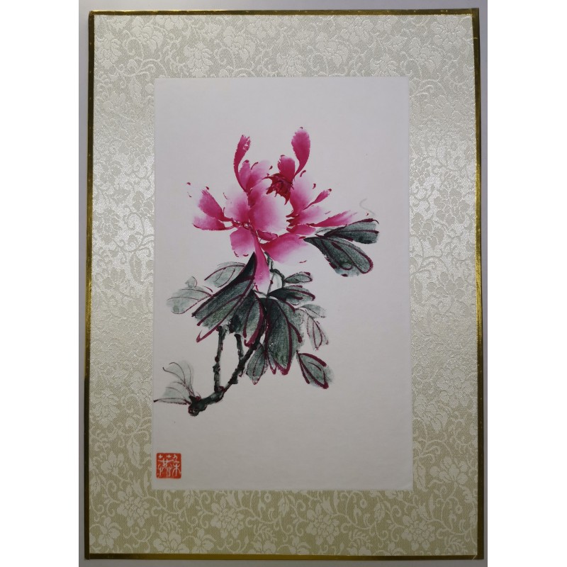 Pivoine rose 4 Pivoine rose 4