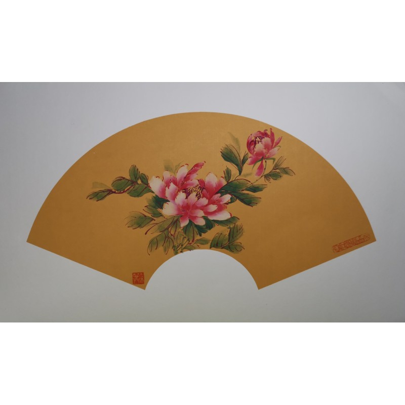 Pivoine rose 6 Pivoine rose 6
