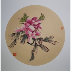 Pink peony 7