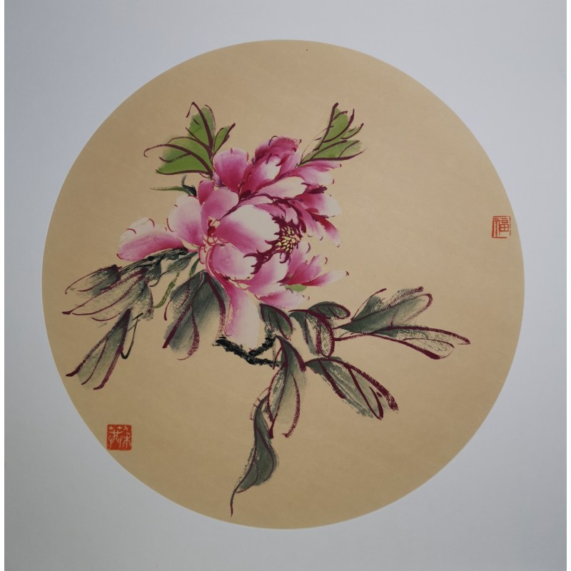 Pink peony 7 Pink peony 7