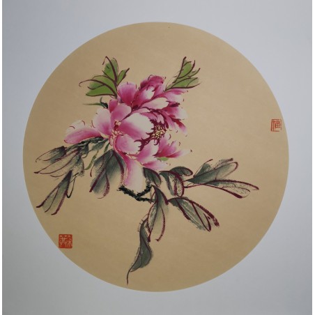 Pink peony 7