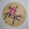 Pink peony 7