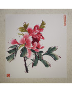 Red peony 3