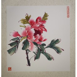 Red peony 3