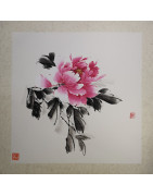Pivoine rose 5