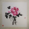 Pink peony 5