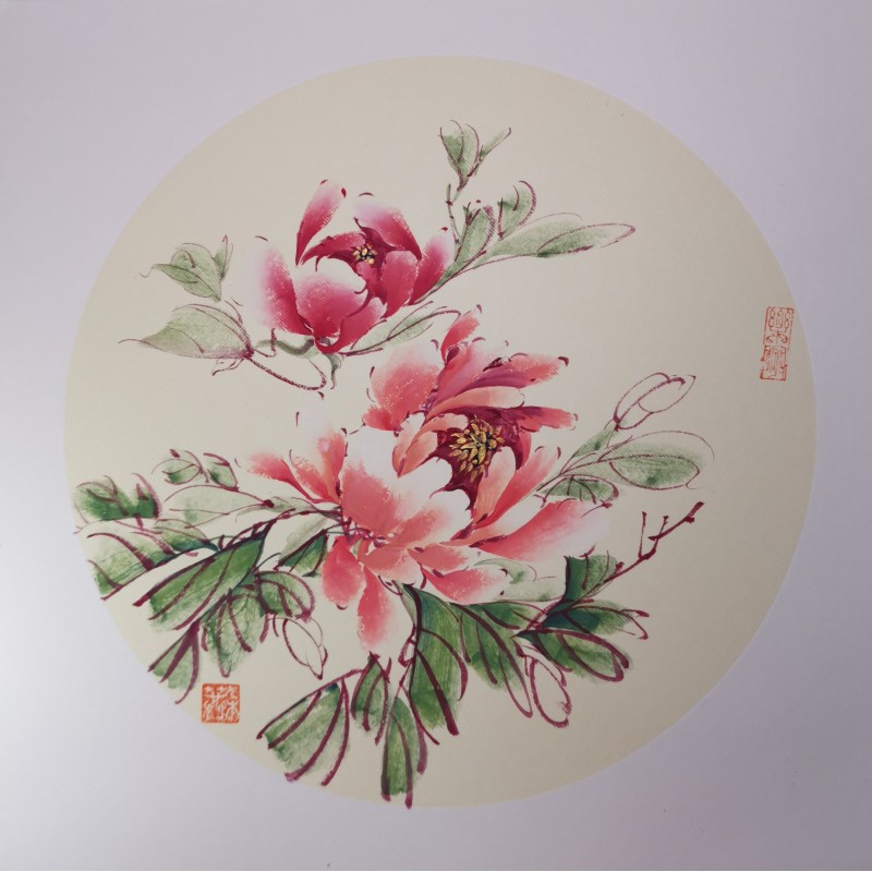 Pivoine rose 8 Pivoine rose 8