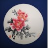 Pivoine rose 9