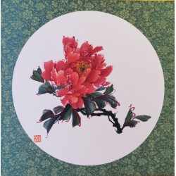 Red peony 5