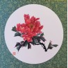 Pivoine rouge 5