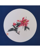 Pivoine rose 10