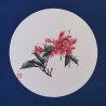 Pivoine rose 10